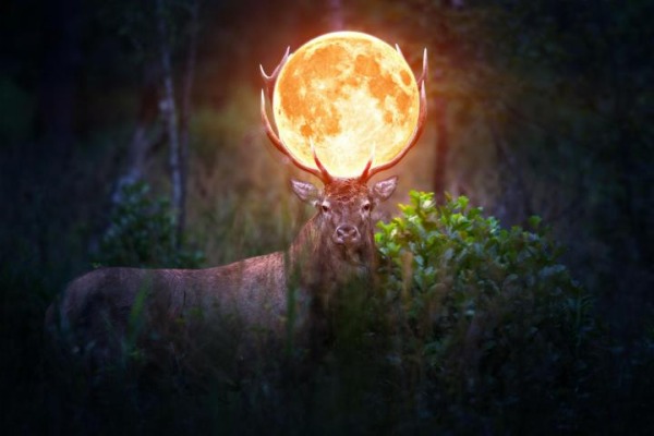 Morgellons - Behold the Buck Moon July 10th.
