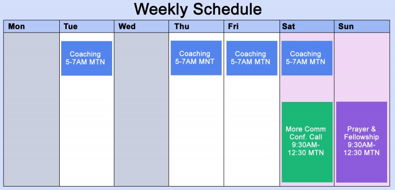 Morgellons - Updated Weekly Schedule & Zoom Info
