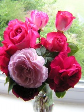 Morgellons - LOVELY ROSE