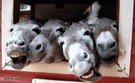 Morgellons - Funniest Story Ever Told Contest