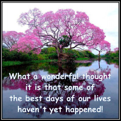 Morgellons - Appreciate what we have!