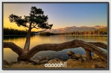 Morgellons - SAME LINK JUST SCROLL DOWN TOO SIGN UP!