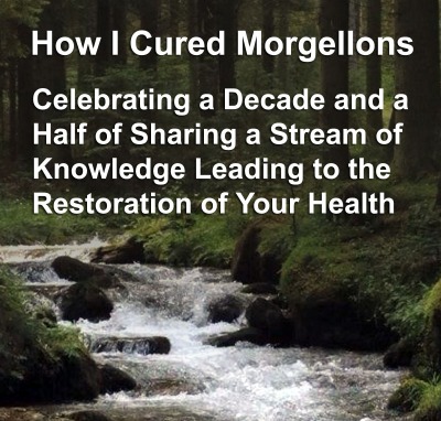 Morgellons - Click the picture to help continue the misson.